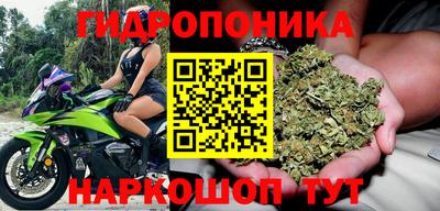 каннабис Ипатово