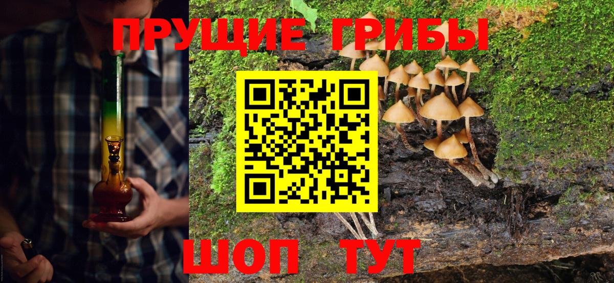 Галлюциногенные грибы Psilocybe  Вход с VPN  Псилоцибиновые грибы Psilocybe  Волхов 